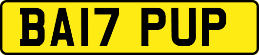 BA17PUP