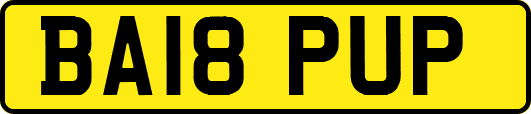 BA18PUP
