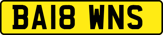 BA18WNS