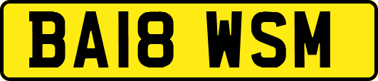 BA18WSM