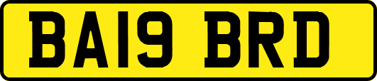 BA19BRD