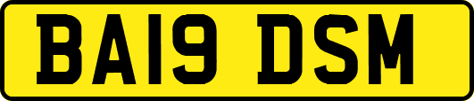 BA19DSM