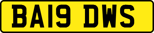 BA19DWS