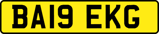 BA19EKG