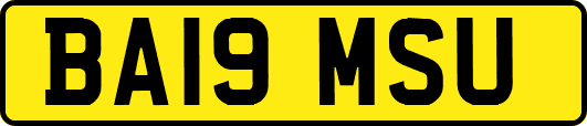 BA19MSU