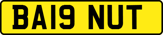 BA19NUT