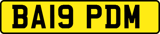 BA19PDM