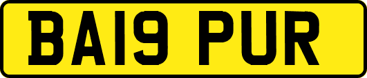 BA19PUR