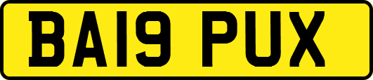 BA19PUX