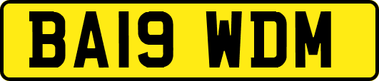 BA19WDM