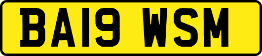 BA19WSM