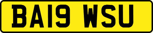 BA19WSU