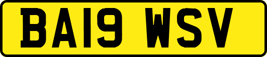 BA19WSV