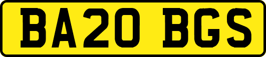 BA20BGS