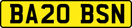 BA20BSN