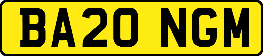 BA20NGM