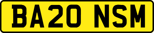 BA20NSM
