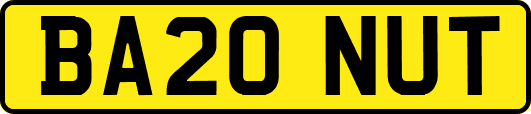 BA20NUT