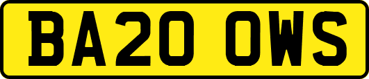 BA20OWS