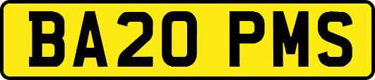 BA20PMS