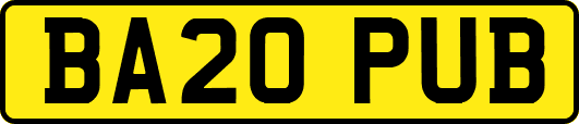 BA20PUB