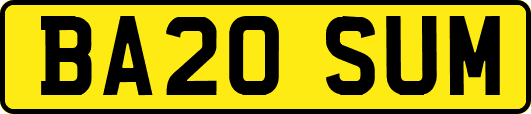 BA20SUM