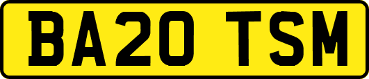 BA20TSM