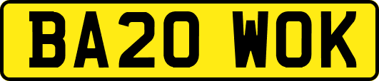 BA20WOK