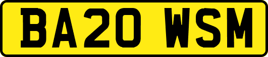 BA20WSM