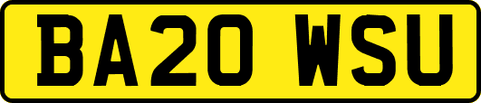 BA20WSU