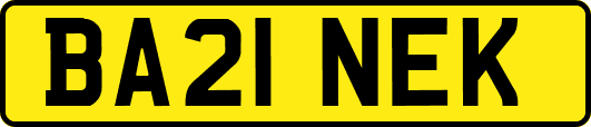 BA21NEK