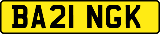 BA21NGK
