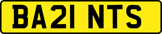 BA21NTS