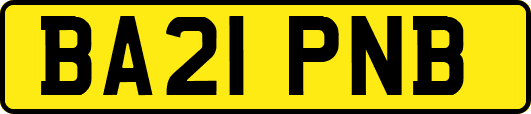BA21PNB