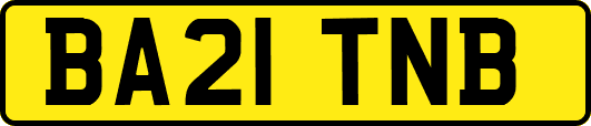 BA21TNB