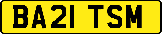BA21TSM
