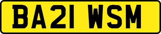 BA21WSM