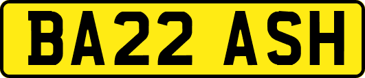 BA22ASH