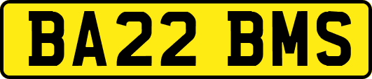 BA22BMS