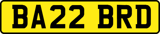 BA22BRD