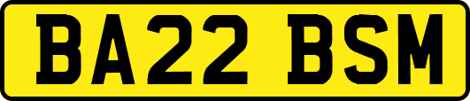 BA22BSM