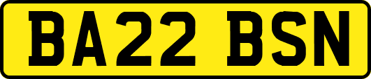 BA22BSN