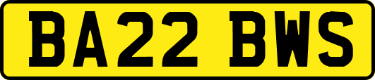 BA22BWS