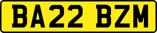 BA22BZM