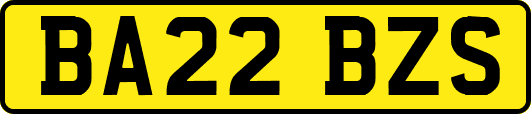 BA22BZS