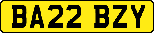 BA22BZY