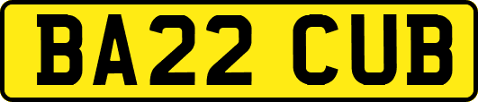 BA22CUB