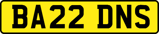 BA22DNS