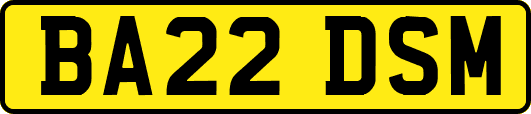 BA22DSM
