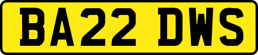 BA22DWS